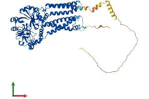 AlphaFold protein structure predicition of Mouse Recombinant Gdpd5 Protein, UniprotID Q640M6