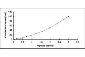 Gastrokine 2 (GKN2) ELISA Kit