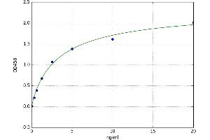 Retinoid X Receptor, beta (RXRB) ELISA Kit
