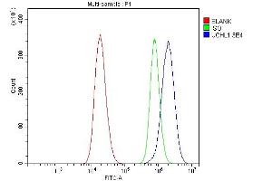 Flow Cytometry analysis of 293T cells using anti-PGP9.