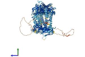 AlphaFold protein structure predicition of Mouse Recombinant Abcc1 Protein, UniprotID O35379