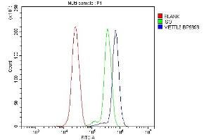 Flow Cytometry analysis of THP-1 cells using anti-METTL3 antibody (ABIN7602808). (METTL3 anticorps  (C-Term))
