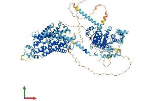 AlphaFold protein structure predicition of Human Recombinant SLC12A1 Protein, UniprotID Q13621