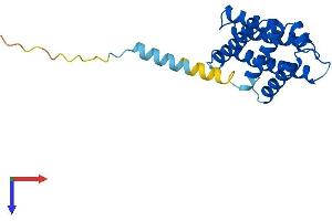 AlphaFold protein structure predicition of Human Recombinant TNFAIP8 Protein, UniprotID O95379
