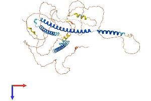 AlphaFold protein structure predicition of Human Recombinant NUP58 Protein, UniprotID Q9BVL2