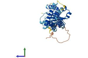 AlphaFold protein structure predicition of Mouse Recombinant Sec22c Protein, UniprotID Q8BXT9