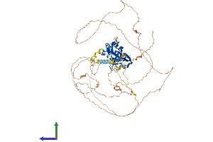 AlphaFold protein structure predicition of Mouse Recombinant Tbx2 Protein, UniprotID Q60707