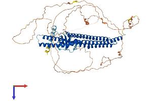 AlphaFold protein structure predicition of Human Recombinant AMPH Protein, UniprotID P49418