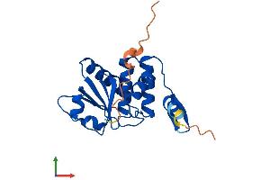 AlphaFold protein structure predicition of Human Recombinant DUSP14 Protein, UniprotID O95147