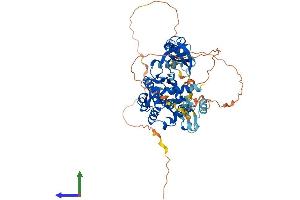 AlphaFold protein structure predicition of Human Recombinant PAK3 Protein, UniprotID O75914