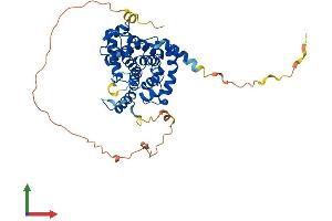 AlphaFold protein structure predicition of Mouse Recombinant Ccne2 Protein, UniprotID Q9Z238
