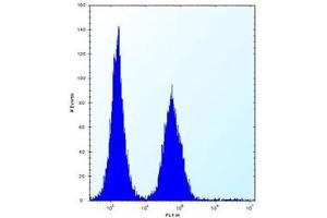 ABI2 antibody flow cytometric analysis (intracellular) of Jurkat cells (right histogram) compared to a negative control (left histogram).