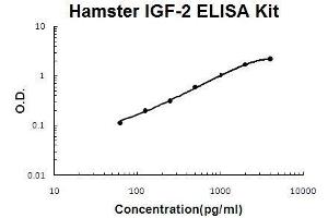 Hamster IGF-2 PicoKine ELISA Kit standard curve (IGF2 Kit ELISA)