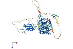 AlphaFold protein structure predicition of Human Recombinant SMURF1 Protein, UniprotID Q9HCE7