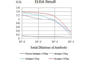 Black line: Control Antigen (100 ng),Purple line: Antigen (10 ng), Blue line: Antigen (50 ng), Red line:Antigen (100 ng) (VCAM1 anticorps  (AA 25-183))