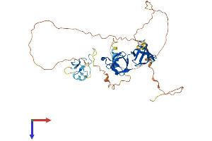 AlphaFold protein structure predicition of Mouse Recombinant Stac Protein, UniprotID P97306