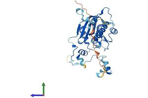 AlphaFold protein structure predicition of Human Recombinant FTSJ1 Protein, UniprotID Q9UET6