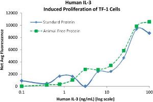 SDS-PAGE of Human Interleukin-3 Recombinant Protein (Animal Free) Bioactivity of Human Interleukin-3 AF Recombinant Protein. (IL-3 Protéine)