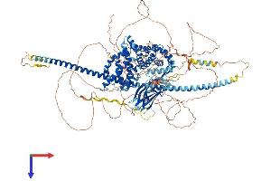 AlphaFold protein structure predicition of Human Recombinant DAB2IP Protein, UniprotID Q5VWQ8