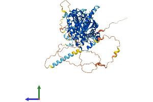 AlphaFold protein structure predicition of Human Recombinant MTMR12 Protein, UniprotID Q9C0I1