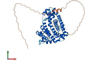 AlphaFold protein structure predicition of Mouse Recombinant Pdss1 Protein, UniprotID Q33DR2