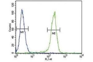 CCR7 antibody flow cytometric analysis of 293 cells (right histogram) compared to a negative control (left histogram).