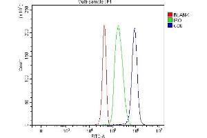 Flow Cytometry analysis of Jurkat cells using anti-T12/CD6 antibody (ABIN7599974). (CD6 anticorps  (AA 133-608))
