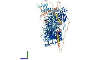 AlphaFold protein structure predicition of Mouse Recombinant Phka1 Protein, UniprotID P18826