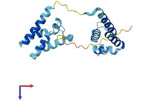 AlphaFold protein structure predicition of Mouse Recombinant Tceanc2 Protein, UniprotID Q8R2M0
