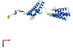 AlphaFold protein structure predicition of Human Recombinant VPS28 Protein, UniprotID Q9UK41