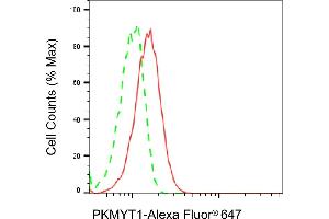 Flow cytometric analysis of PKMYT1 expression in HepG2 cells using PKMYT1 antibody (ABIN7800016), 1:2,000).