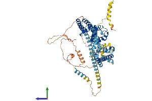 AlphaFold protein structure predicition of Mouse Recombinant Kcnd2 Protein, UniprotID Q9Z0V2