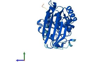 AlphaFold protein structure predicition of Human Recombinant ASPDH Protein, UniprotID A6ND91