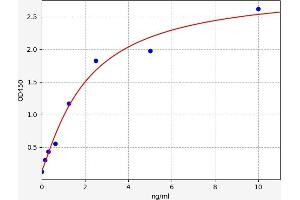 Typical standard curve (AKT1 Kit ELISA)