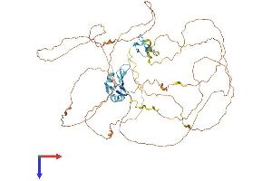 AlphaFold protein structure predicition of Human Recombinant EWSR1 Protein, UniprotID Q01844