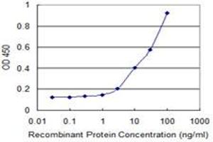 Detection limit for recombinant GST tagged SSR2 is 1 ng/ml as a capture antibody.