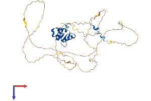 AlphaFold protein structure predicition of Human Recombinant ELK4 Protein, UniprotID P28324