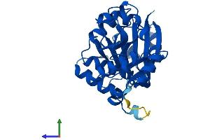 AlphaFold protein structure predicition of Mouse Recombinant Glyat Protein, UniprotID Q91XE0