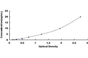 Typical standard curve (PCNT Kit ELISA)