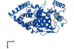 AlphaFold protein structure predicition of Human Recombinant AGPAT5 Protein, UniprotID Q9NUQ2