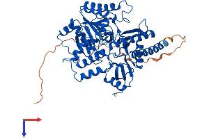 AlphaFold protein structure predicition of Mouse Recombinant Etnppl Protein, UniprotID Q8BWU8