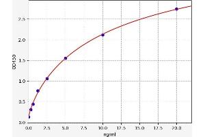 Typical standard curve (MUC2 Kit ELISA)