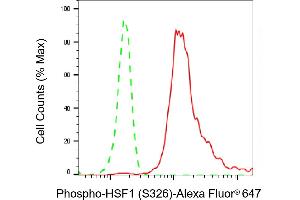 Flow cytometric analysis of Phospho-HSF1 (S326) expression in HeLa cells using Phospho-HSF1 (S326) antibody (ABIN7798863), 1:2,000).