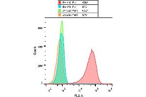 Flow cytometry analysis (surface staining) of K562 cells with anti-human CD30 (Ber-H8) purified, GAM APC.