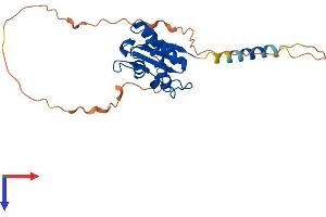 AlphaFold protein structure predicition of Human Recombinant BTG3 Protein, UniprotID Q14201