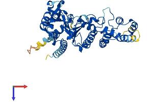 AlphaFold protein structure predicition of Mouse Recombinant Prim1 Protein, UniprotID P20664