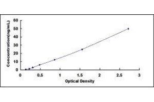 Mucin 2, Oligomeric Mucus/gel-Forming (MUC2) ELISA Kit