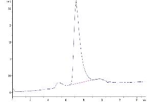 The purity of Bitinylated Human IL-12 is greater than 95 % as determined by SEC-HPLC.