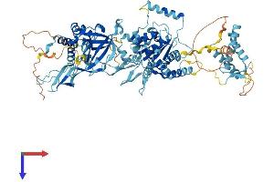 AlphaFold protein structure predicition of Mouse Recombinant Mcm6 Protein, UniprotID P97311
