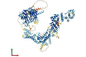 AlphaFold protein structure predicition of Mouse Recombinant Rab3gap2 Protein, UniprotID Q8BMG7